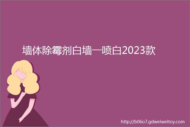 墙体除霉剂白墙一喷白2023款