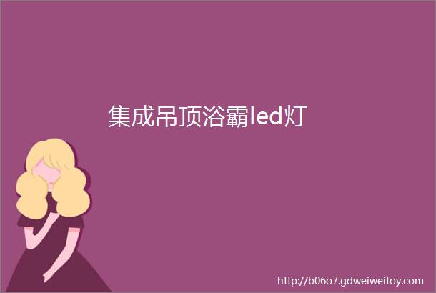 集成吊顶浴霸led灯