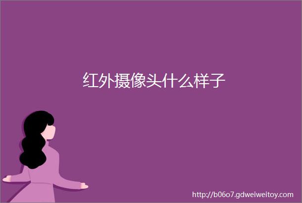 红外摄像头什么样子