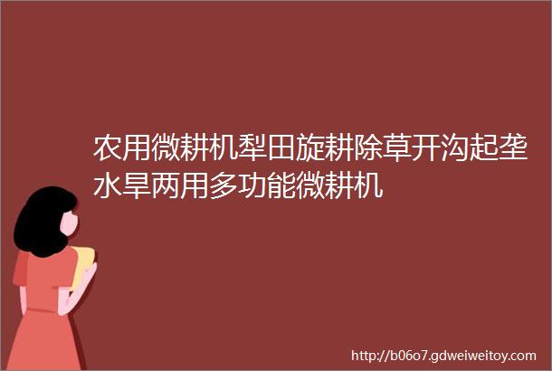 农用微耕机犁田旋耕除草开沟起垄水旱两用多功能微耕机